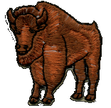 Jumbo 5-1/2 inch round embroidered WB patch black Buffalo / Bison